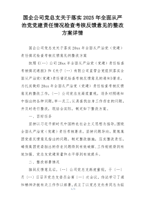 国企公司党总支关于落实2025年全面从严治党党建责任情况检查考核反馈意见的整改方案详情
