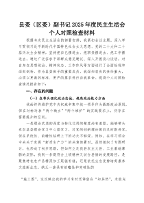 县委（区委）副书记2026年度民主生活会个人对照检查材料