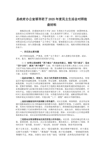 县政府办公室领导班子2026年度民主生活会对照检查材料