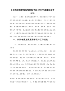 县自然资源和规划局党组书记2026年度述法报告材料