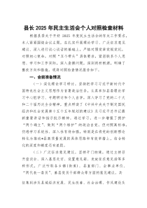 县长2026年民主生活会个人对照检查材料