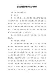 抓党建管理办法乡镇版