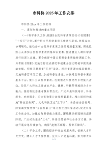 市科协2025年工作安排