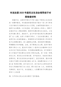 市发改委2026年度民主生活会领导班子对照检查材料