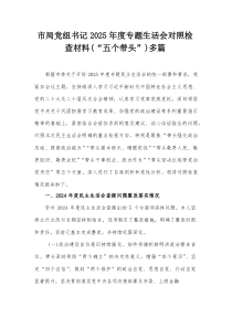 市局党组书记2026年度专题生活会对照检查材料（“五个带头”）多篇