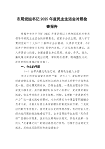 市局党组书记2026年度民主生活会对照检查报告 （五个带头）