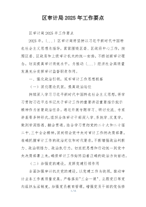 区审计局2025年工作要点