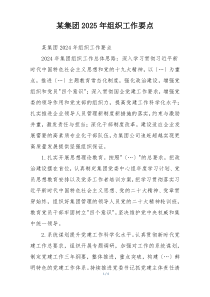 某集团2025年组织工作要点