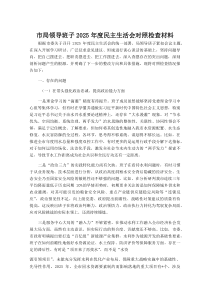 市局领导班子2026年度民主生活会对照检查材料