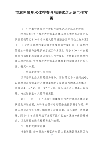 市农村黑臭水体排查与治理试点示范工作方案