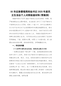 市应急管理局党组书记2026年度民主生活会个人对照检查材料(带案例)