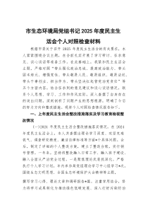 市生态环境局党组书记2026年度民主生活会个人对照检查材料
