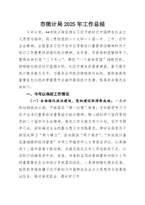 市统计局2026年工作总结