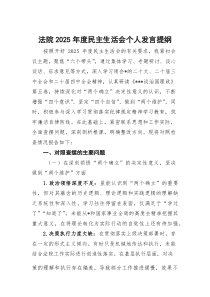 法院2026年度民主生活会个人发言提纲