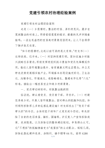 党建引领农村治理经验案例