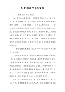 纪委2025年工作要点