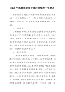 2025年地震和地质灾害应急管理工作要点
