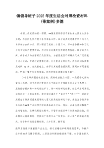 镇领导班子2026年度生活会对照检查材料(带案例)多篇