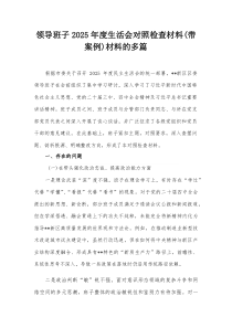 领导班子2026年度生活会对照检查材料(带案例)材料的多篇