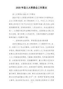 2025年县人大常委会工作要点