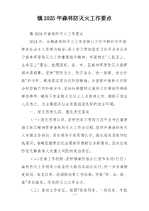 镇2025年森林防灭火工作要点