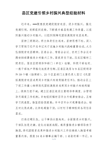 县区党建引领乡村振兴典型经验材料