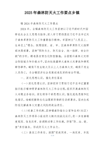 2025年森林防灭火工作要点乡镇