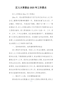区人大常委会2025年工作要点