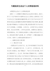 专题组织生活会个人对照检视材料