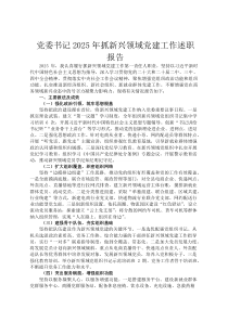 党委书记2026年抓新兴领域党建工作述职报告