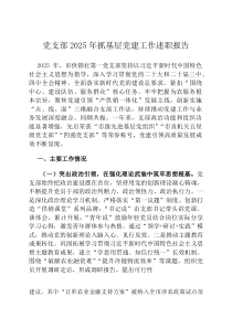 党支部2026年抓基层党建工作述职报告