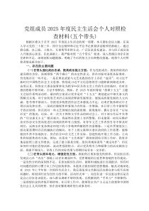 党组成员2026年度民主生活会个人对照检查材料(五个带头)