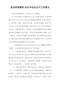 县自然资源局2025年安全生产工作要点
