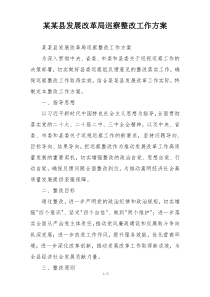 某某县发展改革局巡察整改工作方案