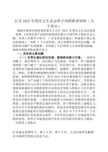 公司2026年度民主生活会班子对照检查材料（五个带头）