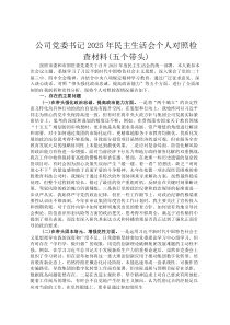 公司党委书记2026年民主生活会个人对照检查材料(五个带头)