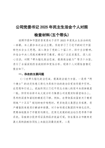 公司党委书记2026年民主生活会个人对照检查材料（五个带头）