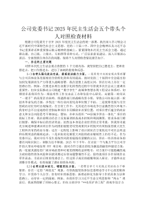 公司党委书记2026年民主生活会五个带头个人对照检查材料