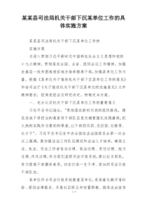 某某县司法局机关干部下沉某单位工作的具体实施方案