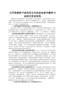 公司党委班子成员民主生活会会前专题学习会研讨发言材料
