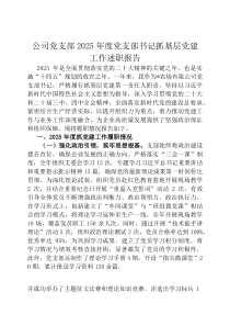公司党支部2026年度党支部书记抓基层党建工作述职报告