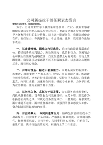 公司新提拔干部任职表态发言