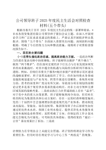 公司领导班子2026年度民主生活会对照检查材料(五个带头)