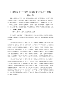 公司领导班子2026年度民主生活会对照检查材料
