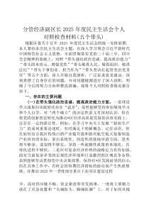 分管经济副区长2026年度民主生活会个人对照检查材料（五个带头）