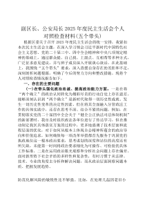副区长、公安局长2026年度民主生活会个人对照检查材料（五个带头）