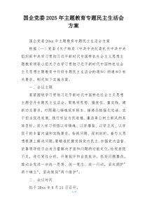 国企党委2025年主题教育专题民主生活会方案