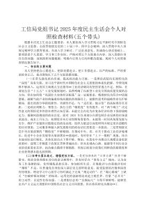 工信局党组书记2026年度民主生活会个人对照检查材料(五个带头)
