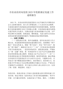 市农业农村局党组2026年度抓基层党建工作述职报告