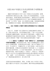 市委2026年度民主生活会领导班子对照检查材料